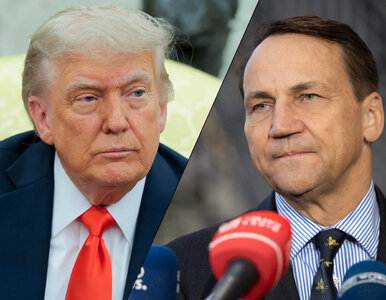 Miniatura: Słowa Trumpa wywołały burzę w Polsce. Tak...