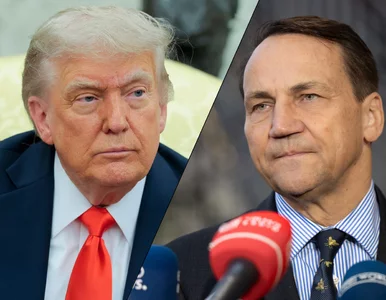Miniatura: Słowa Trumpa wywołały burzę w Polsce. Tak...