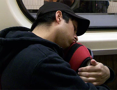 Miniatura: Panie złodzieju, pora wstawać!