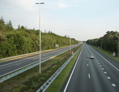 Miniatura: Autostradą A4 z Gliwic do Wrocławia...