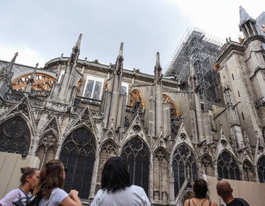Miniatura: Odbudowa Notre Dame budzi kontrowersje....