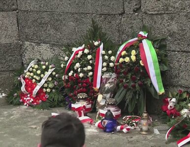 Miniatura: Prezydent złożył kwiaty pod Ścianą Straceń...