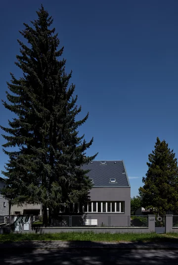 Renowacja podmiejskiego domku, projekt Kaa Studio Linka, forest, Kaa