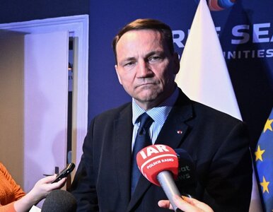 Miniatura: Sikorski podjął decyzję o wniosku do ETPCz...