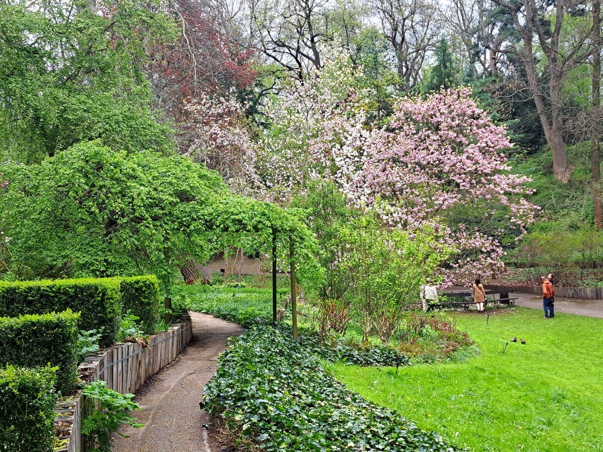 Ogród Botaniczny Uniwersytetu Warszawskiego w Warszawie 