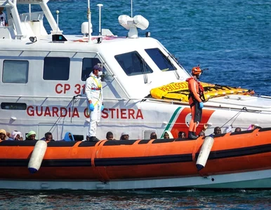 Miniatura: Problem z systemem migracyjnym we...