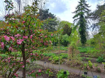 Ogród Botaniczny Uniwersytetu Warszawskiego w Warszawie 