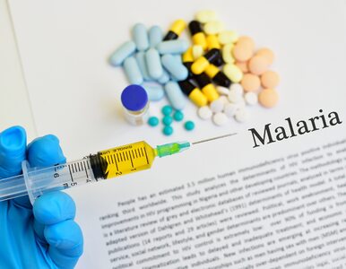 WHO rekomenduje pierwszą na świecie szczepionkę przeciw malarii: „To...