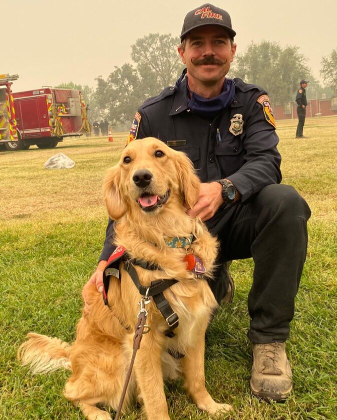 kerith_the_golden_retriever 