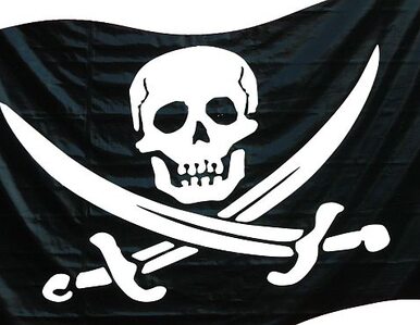 Miniatura: Skala piractwa na świecie spadła o 40 proc.