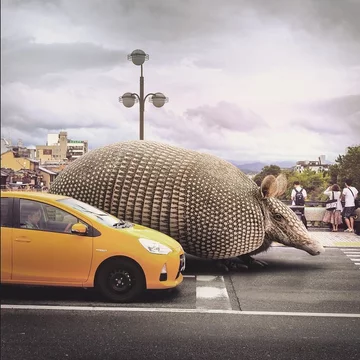 Surrealistyczny świat 