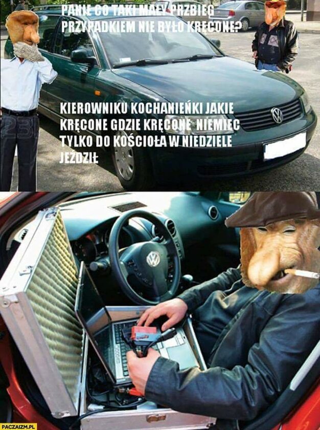 Mem z nosaczem sundajskim 