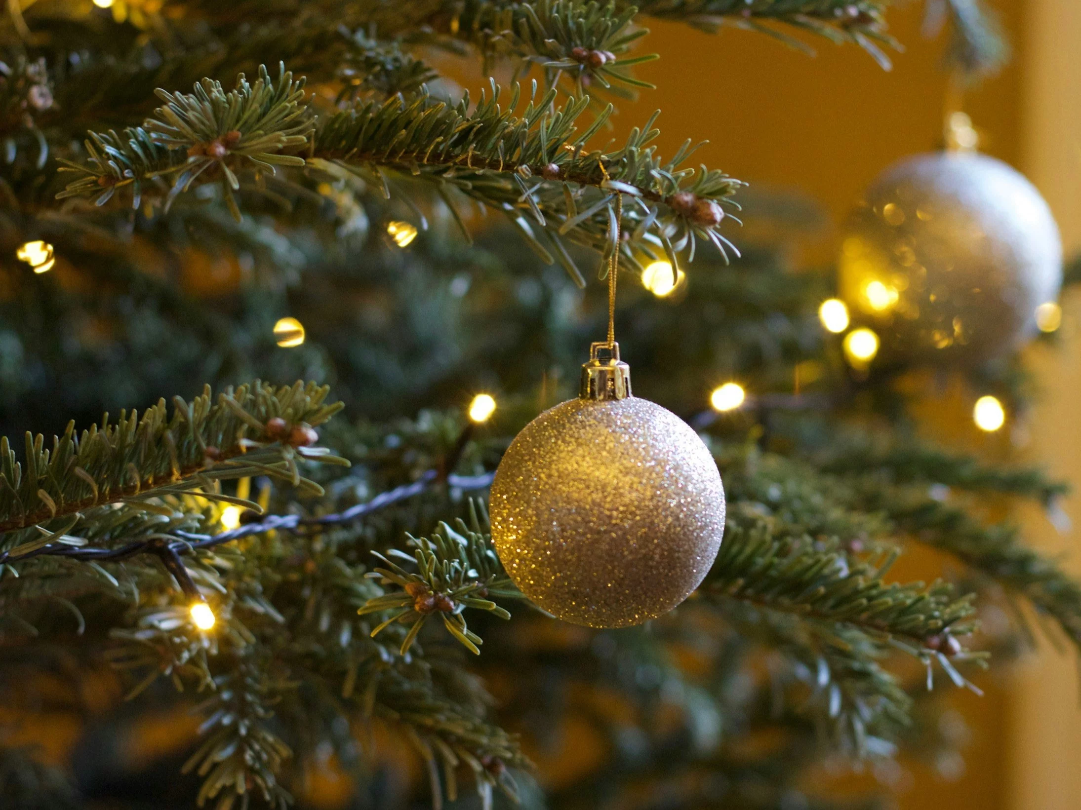 Znasz potrawy wigilijne? Zweryfikujemy w tym quizie