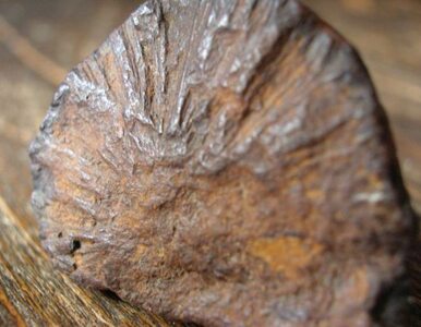 Miniatura: Pokazano 300-kilogramowy meteoryt spod...