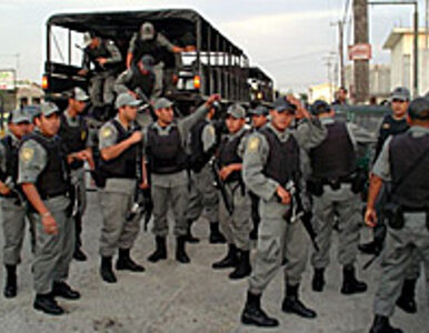 Miniatura: Meksyk: 8 ofiar wojny kartelu z policją