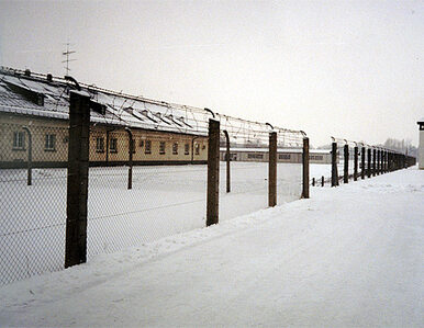 Miniatura: "NYT": Dachau? To w Polsce