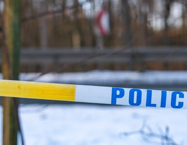 Miniatura: 17-latek po zbrodni opublikował...