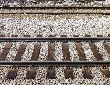 Miniatura: Katastrofa kolejowa w Wiedniu