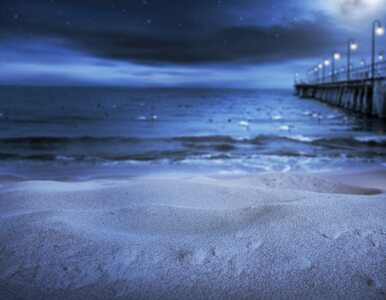 Miniatura: Ta plaża świeci w ciemności. Bajkowe...