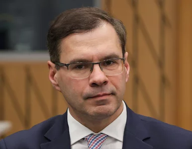 Miniatura: Prawicowy dziennikarz ostro o intencjach...