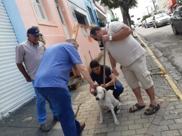 Ksiądz João Paulo Araujo Gomes z psami 