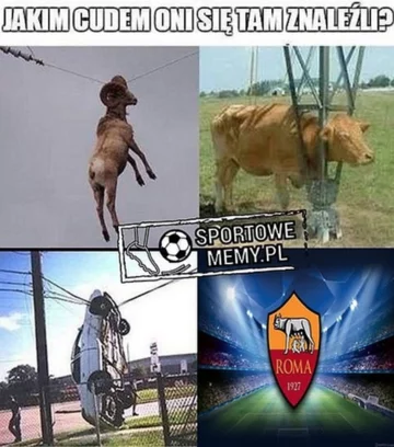 Mem po meczu Liverpool - AS Roma 