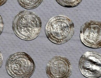 Miniatura: Wędkarze znaleźli arabskie monety sprzed...
