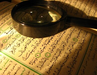 Miniatura: Pakistan: spaliła Koran, uniknie kary?