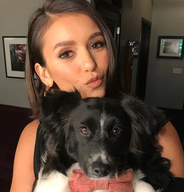 Maverick, pies Niny Dobrev 