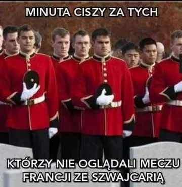 Mem po meczu Szwajcarii z Francją 