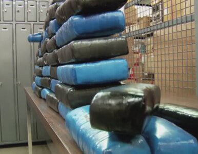 Miniatura: Policja przejęła 50 kg kokainy wartej 1,5...
