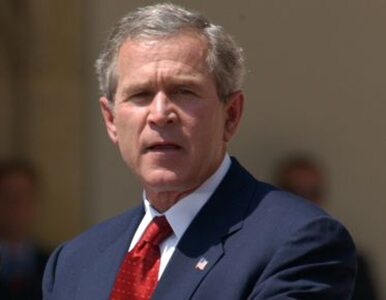 Miniatura: Bush dostał pieniądze na wojnę