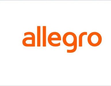 Miniatura: Allegro zmienia strategię. "Reorganizacja...
