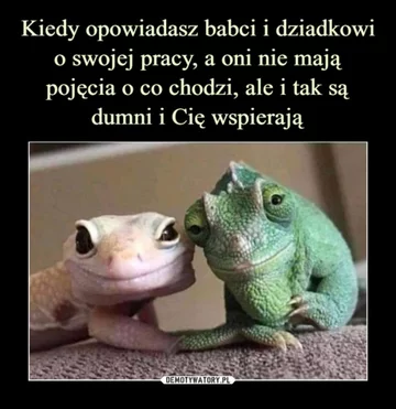Dzień Babci i Dziadka za nami. Na wspomnienia najlepsze są MEMY 