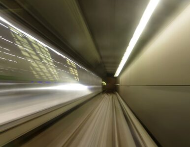 Miniatura: Eurotunnel notuje rekordowe zyski