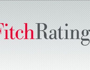 Miniatura: Agencja Fitch utrzymała rating Polski bez...