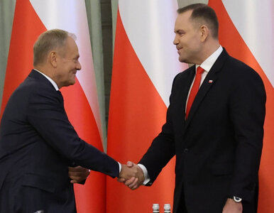 Miniatura: Polacy ostro o Tusku i Nawrockim. Sondaż...