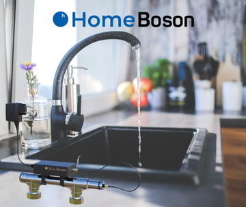 Projekt Blue Boson