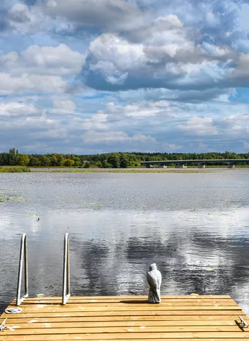 Dom zatopiony w naturze. Właściciele uwielbiają spędzać czas na pomoście