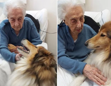 Miniatura: Przeżyła pandemię hiszpanki i COVID-19....