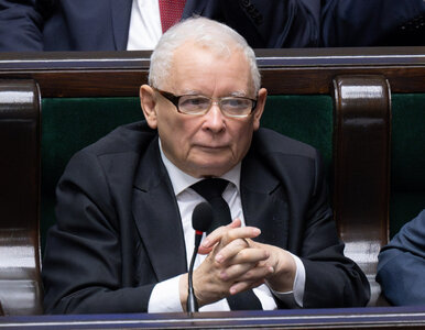 Miniatura: Takie będą święta Kaczyńskiego. Kuzyn...