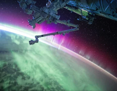 Miniatura: Szybki quiz prawda czy fałsz. Poradzisz...