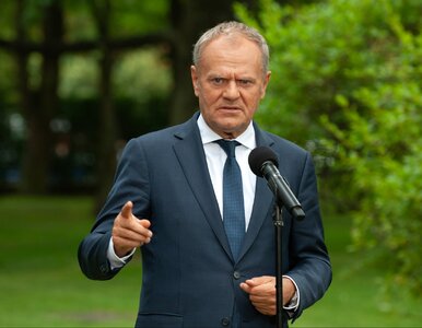 Miniatura: Tusk będzie zeznawać ws. Romanowskiego?...