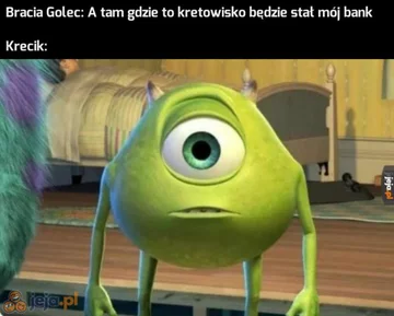 Memy z braćmi Golec 