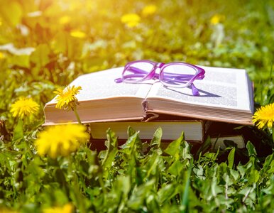 Miniatura: QUIZ z polskich przysłów i powiedzeń....