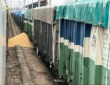 Miniatura: Ukraińska soja wysypana z wagonu. Ostre...