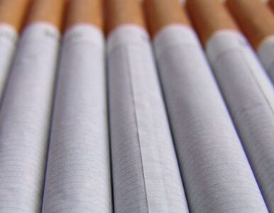 Miniatura: Małopolska: 2 tony tytoniu w rękach policji