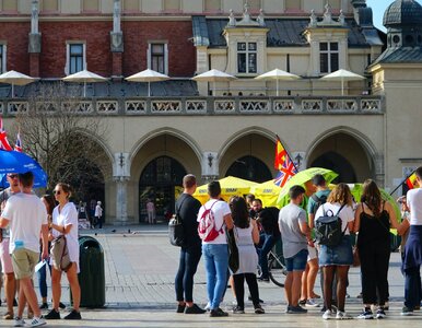 Miniatura: Polska robi furorę wśród turystów z...