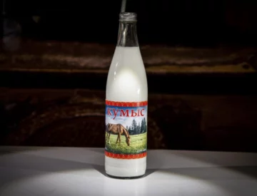 Kumys - mleczny napój alkoholowy powstający w wyniku fermentacji cukru mlecznego 