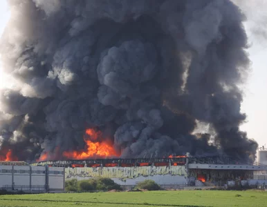 Miniatura: Hamas rozpoczął operację zbrojną przeciwko...